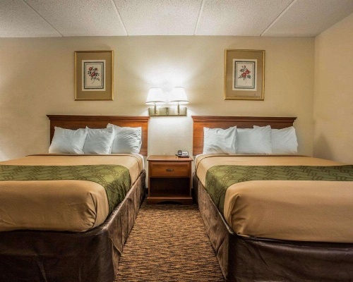Econo Lodge Inn & Suites Lugoff image 19