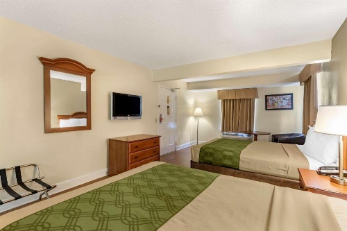 Econo Lodge Inn & Suites Lugoff image 5
